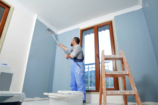 Professional Mold Removal in Frisco, CO