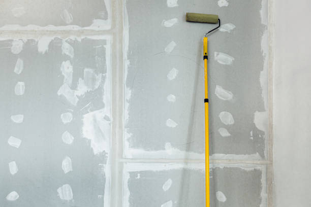 Best Attic Mold Removal  in Fris, CO