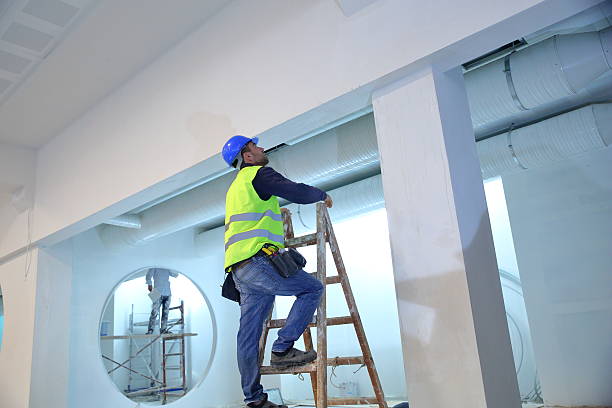Best Commercial Mold Inspection  in Fris, CO